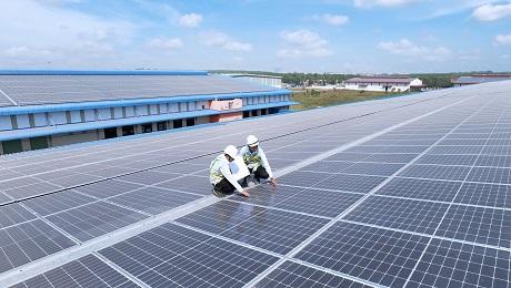 Hướng dẫn chi tiết các bước lắp đặt bấc thấm trong khu công nghiệp, quy trình thi công hiệu quả